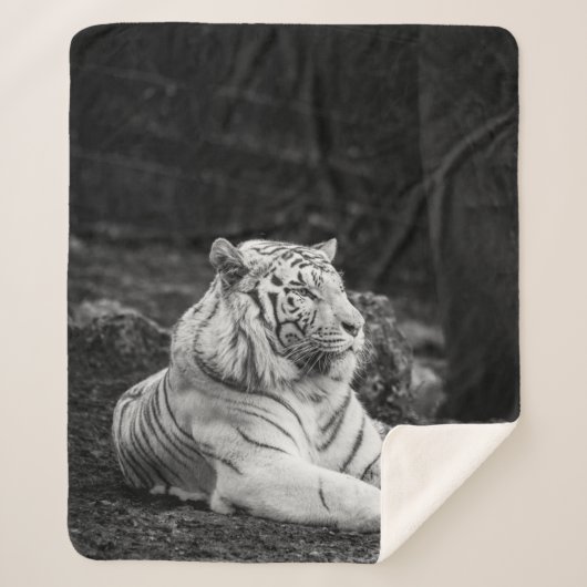 タイガー考えズ シェルパブランケット (正面)