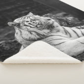 タイガー考えズ シェルパブランケット (3/4)