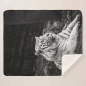 タイガー考えズ シェルパブランケット (正面(横))