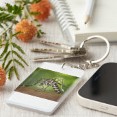 タイガー蚊 キーホルダー (正面右)