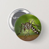 タイガー蚊 缶バッジ (正面&裏面)