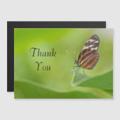 タイガー蝶サンキューカード (正面/裏面)