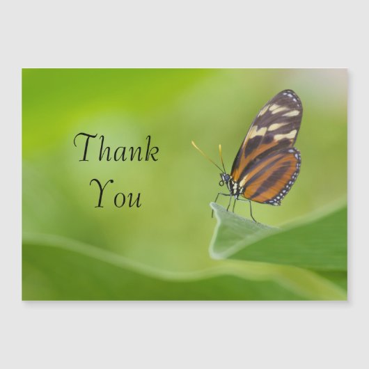 タイガー蝶サンキューカード (正面)