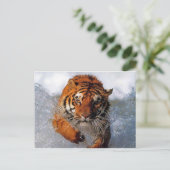 タイガー製品 ポストカード (スタンド正面)