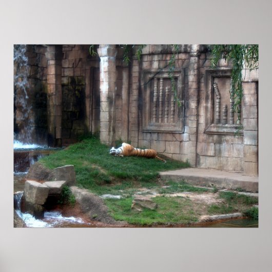 タイガー転が ポスター (正面)