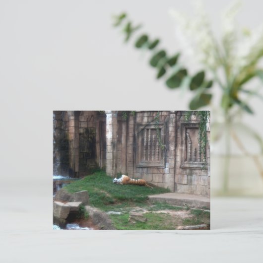 タイガー転が ポストカード (スタンド正面)