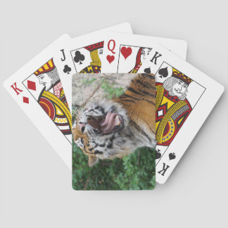 タイガー遊のカード トランプ