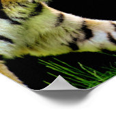 タイガー達成やる気を起こさせる引用文 ポスター (角)