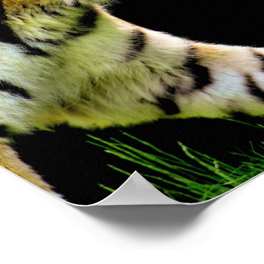 タイガー達成やる気を起こさせる引用文 ポスター (角)