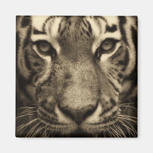 タイガー顔インセピアトーン マグネット (正面)