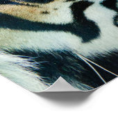 タイガー顔プリント ポスター (角)