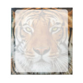 タイガー顔写真 ノートパッド (正面)