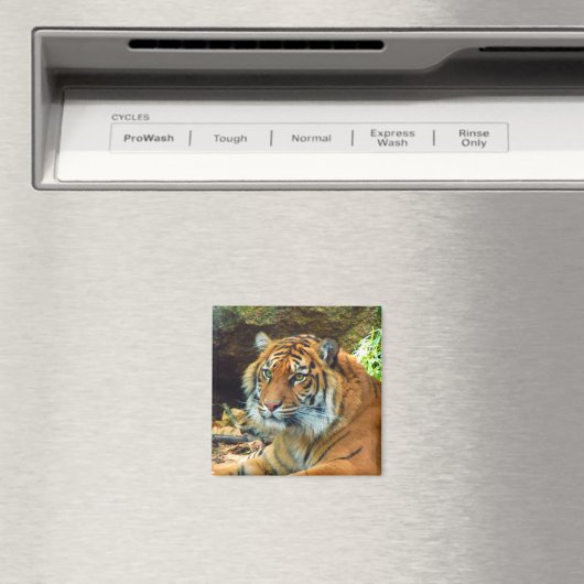 タイガー顔磁石 マグネット (インサイチュ (食洗機))