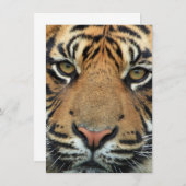 タイガー顔 サンキューカード (正面/裏面)