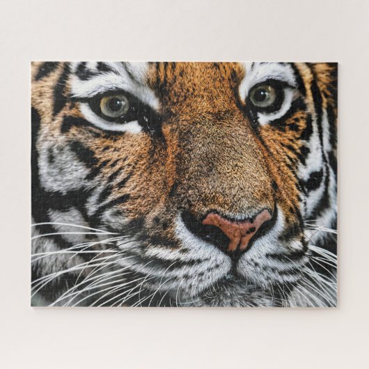 タイガー顔、ジグソーパズル ジグソーパズル (横)