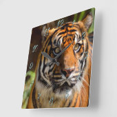 タイガー顔 スクエア壁時計 (傾斜)