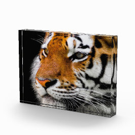 タイガー顔 フォトブロック