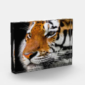 タイガー顔 フォトブロック (左)