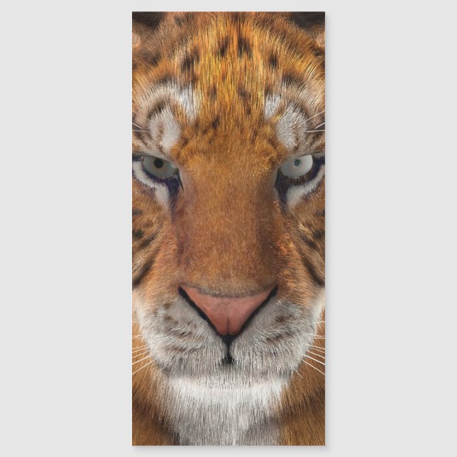 タイガー (正面)