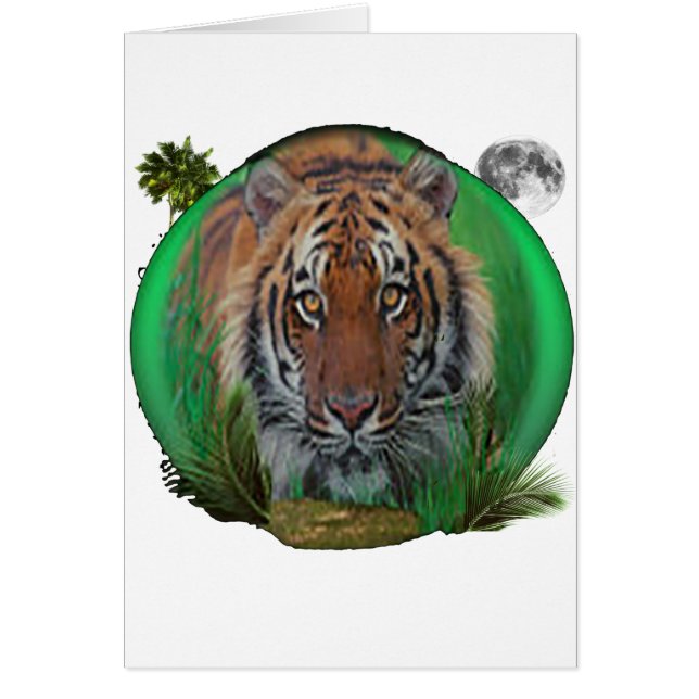 タイガー (正面)