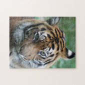 タイガー012 ジグソーパズル (横)