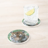 タイガー013 コースター (側面)