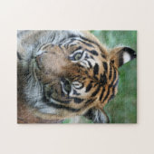 タイガー013 ジグソーパズル (横)