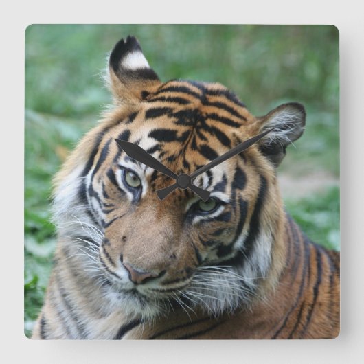 タイガー013 スクエア壁時計 (正面)