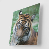 タイガー013 スクエア壁時計 (傾斜)