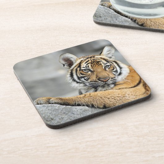 タイガー016 コースター (左側)