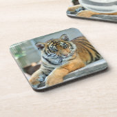 タイガー034 コースター (左側)