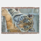 タイガー034 スローブランケット (正面)