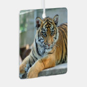 タイガー034 メタルオーナメント (正面右)