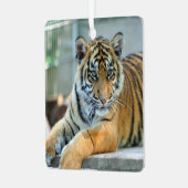 タイガー034 メタルオーナメント (正面左)