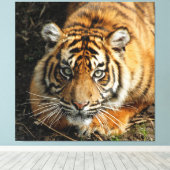 タイガー037 キャンバスプリント (インサイチュ (ウッドフロア))