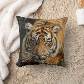 タイガー037 クッション (ブランケット)