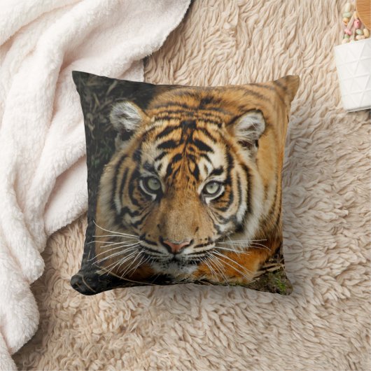 タイガー037 クッション (ブランケット)