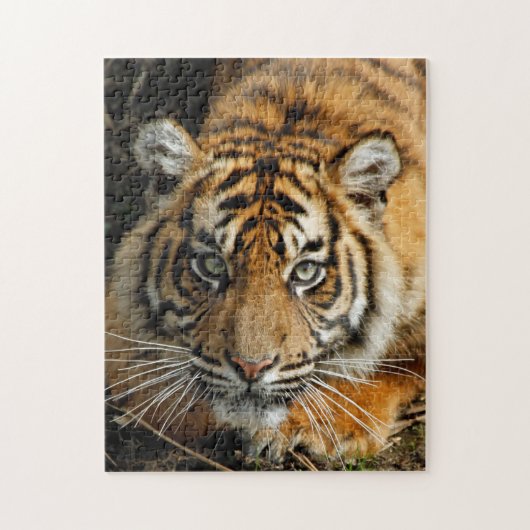 タイガー037 ジグソーパズル (縦)
