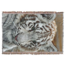 タイガー20151001