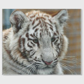 タイガー20151001 ラッピングペーパー (フラット)