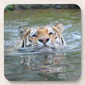 タイガー20160201 コースター (正面)