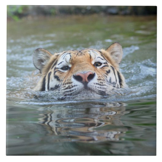 タイガー20160201 タイル (正面)