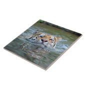 タイガー20160201 タイル (側面)