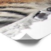 タイガー・アンド・カッブ・ハグ ポスター (角)