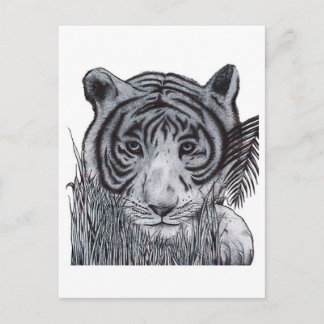 タイガー・イン・ザ・グラス ポストカード