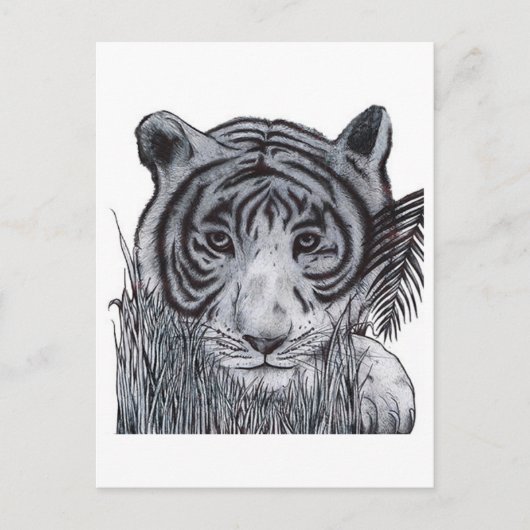 タイガー・イン・ザ・グラス ポストカード (正面)
