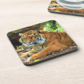 タイガー・ウィズダム・コースターセット コースター (左側)