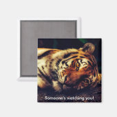 タイガー・ウオッチング マグネット (正面/裏面)