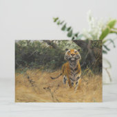 タイガー・オン・ザ・ウォッチ | ウィルヘルムクハルト (スタンド正面)