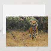 タイガー・オン・ザ・ウォッチ | ウィルヘルムクハルト (正面/裏面)